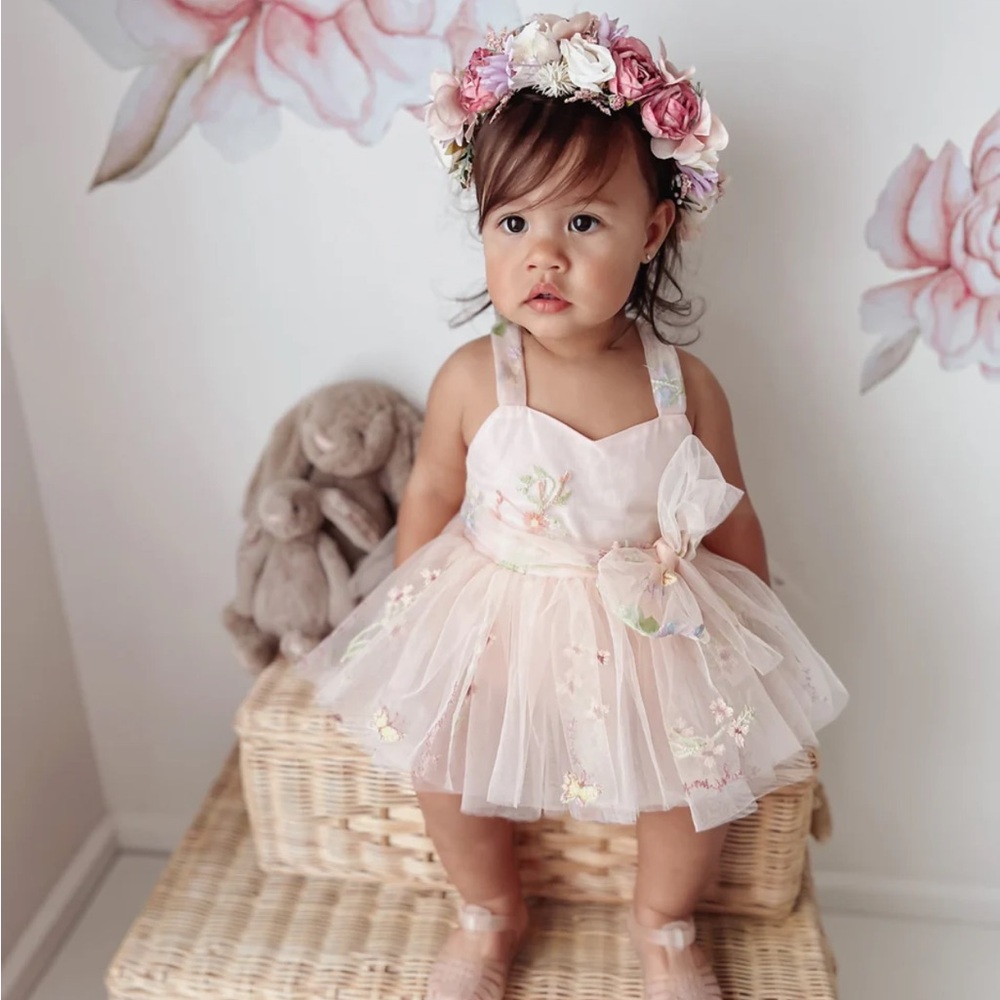 Arabella & Rose Enchanted Rose Heavenly Pink Dress. Size 0-3